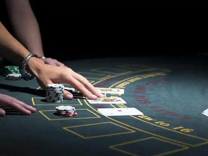 Live Andar Bahar guide on 9486bet with card entertainment and privacy focus